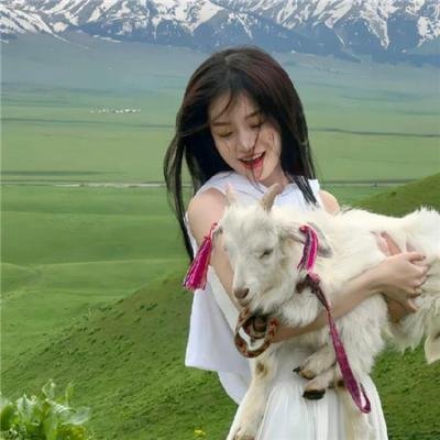 大贼与金丝猫